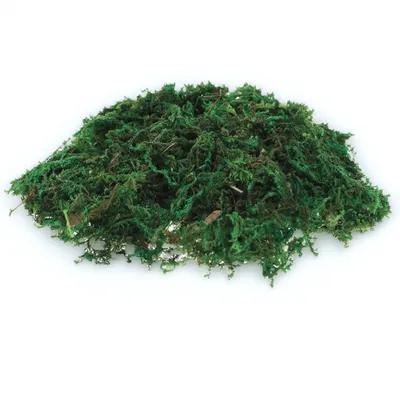 Sphagnum Moss Dry - 1Pack Natural-Looking Fake Moss Decor for