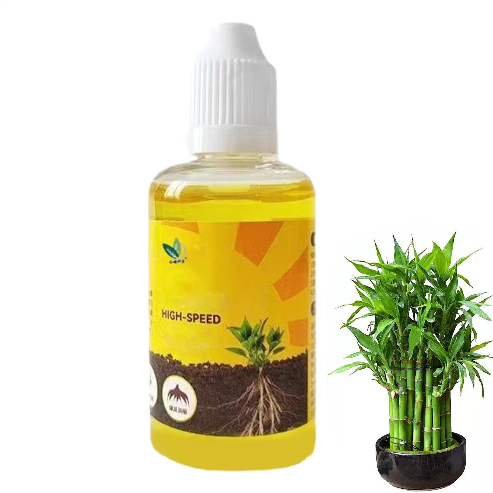Root Stimulator Liquid - 50ml Plant Rooting Stimulator Liquid Plant