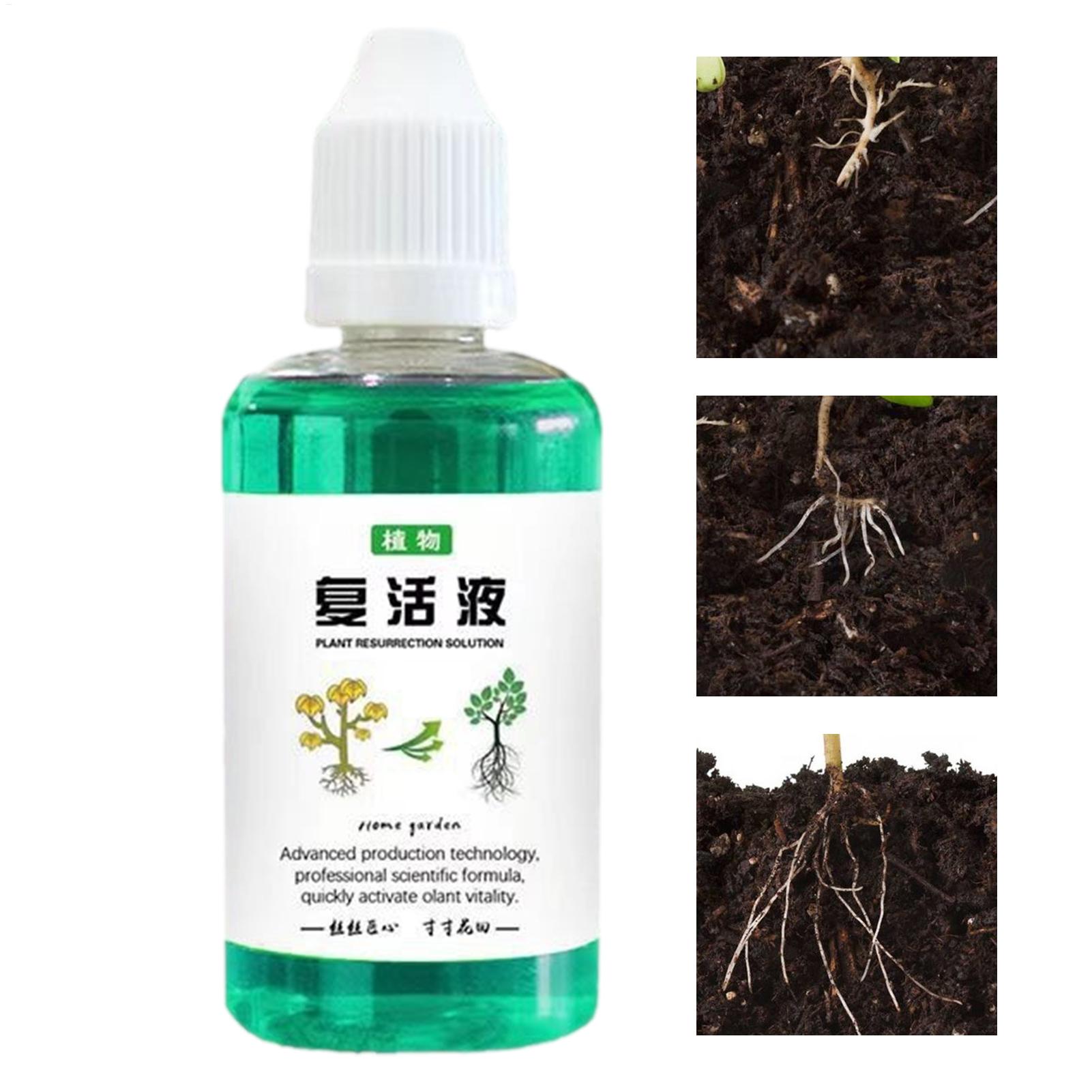 50ml Root Stimulator Plant Res - Root Stimulator Liquid review and price