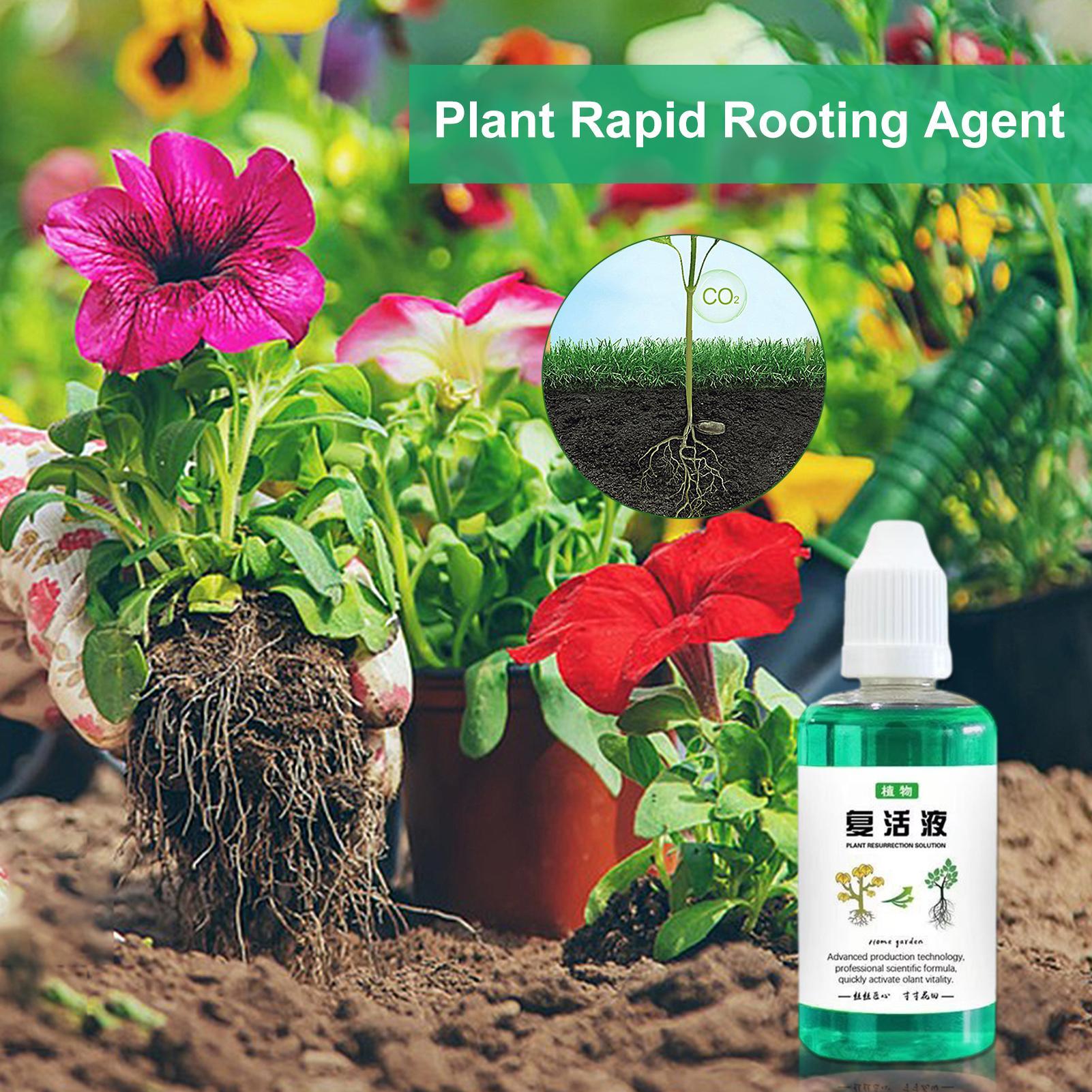 50ml Root Stimulator Plant Res - Root Stimulator Liquid review and price
