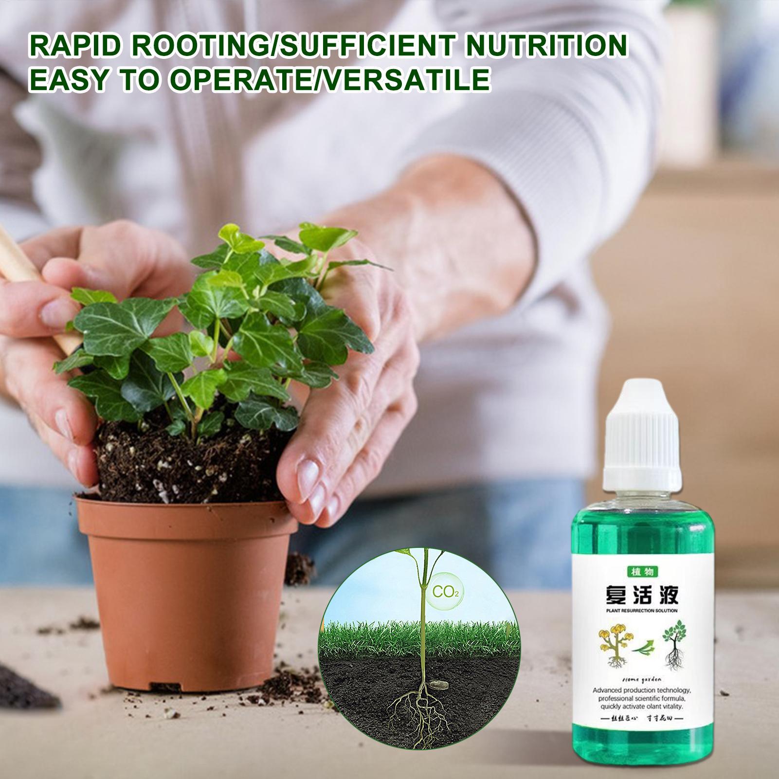 50ml Root Stimulator Plant Res - Root Stimulator Liquid review and price