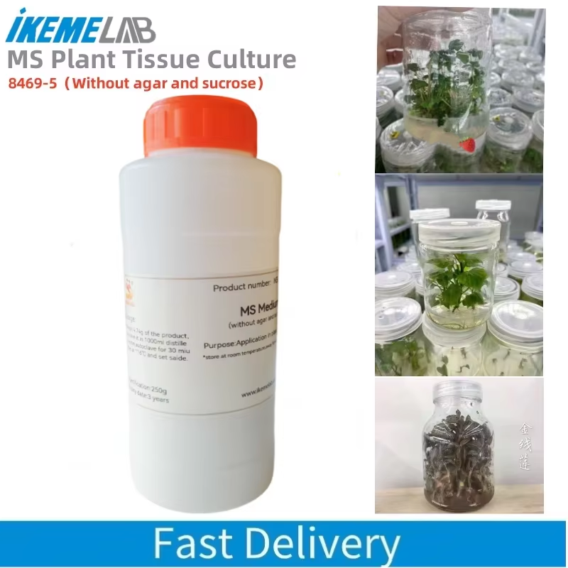 IKEME 250g Lab MS Medium Witho - Agar Tissue Culture review and price
