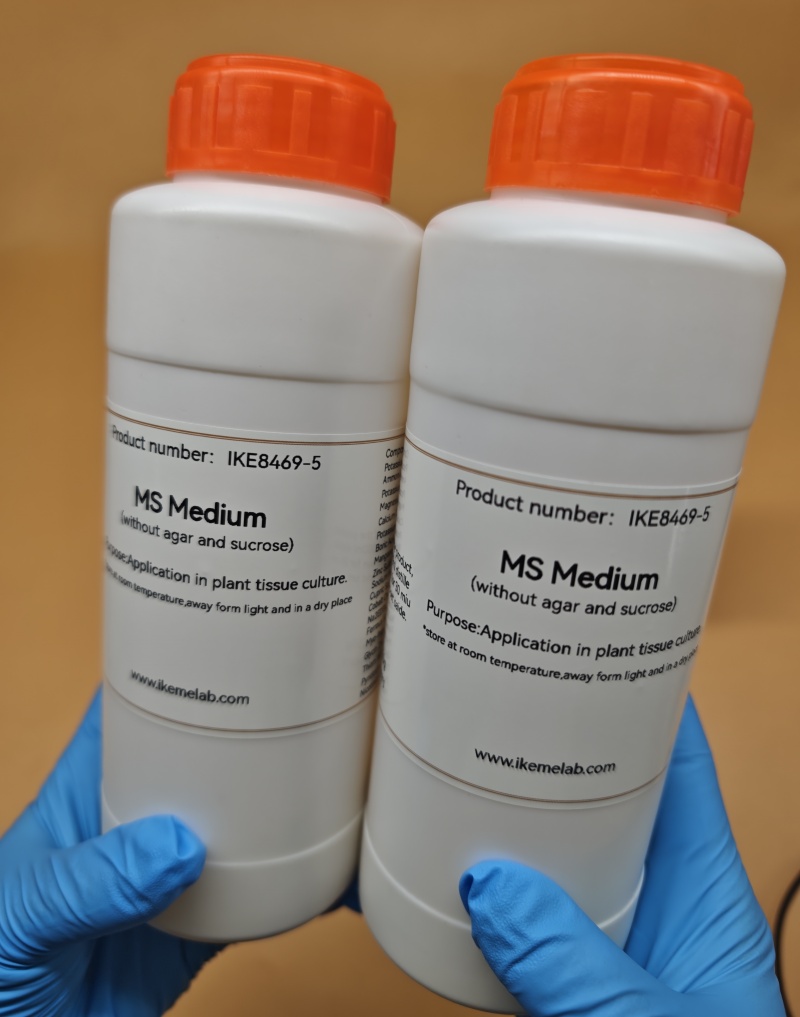IKEME 250g Lab MS Medium Witho - Agar Tissue Culture review and price