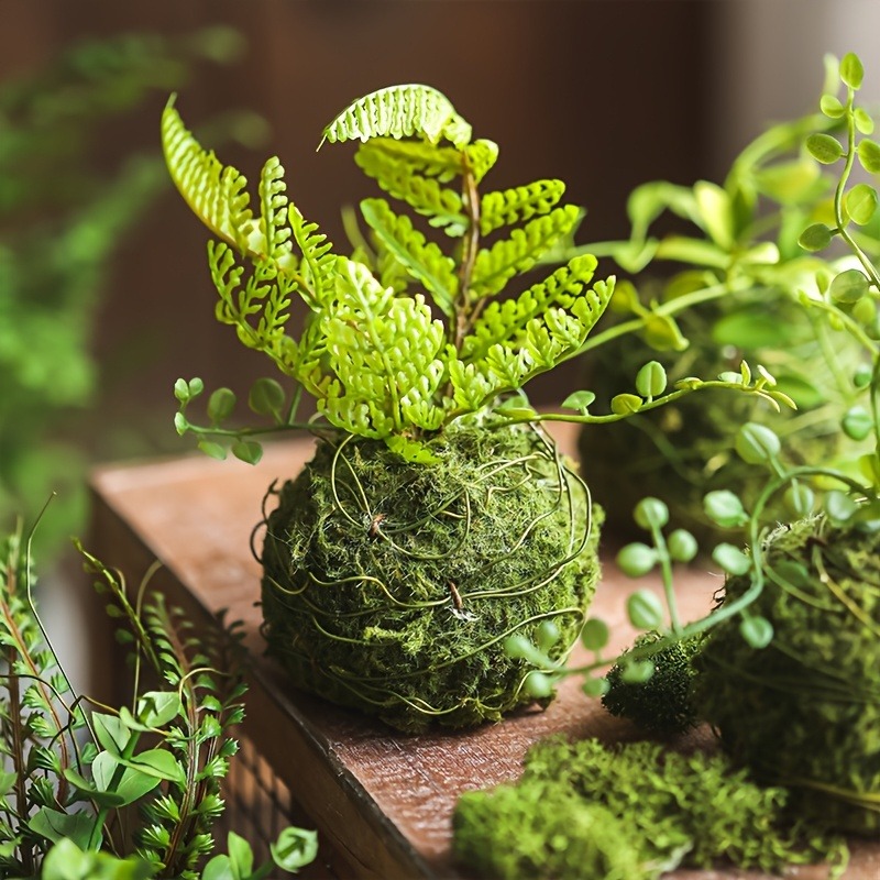 Artificial Moss Ball Planter,  - Sphagnum Moss Dry review and price