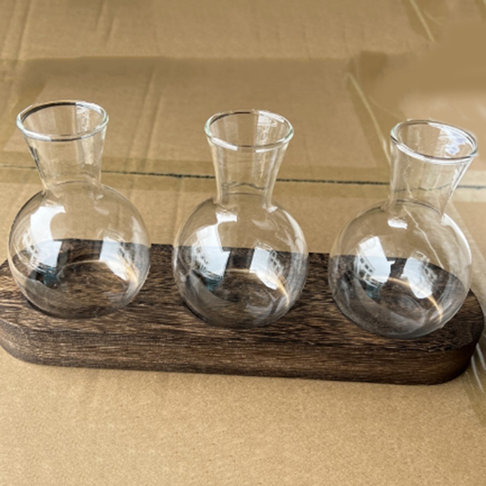 75STO-Hydroponic Plant Vases V - Propagation Station Vase review and price