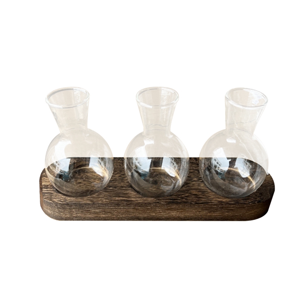 75STO-Hydroponic Plant Vases V - Propagation Station Vase review and price
