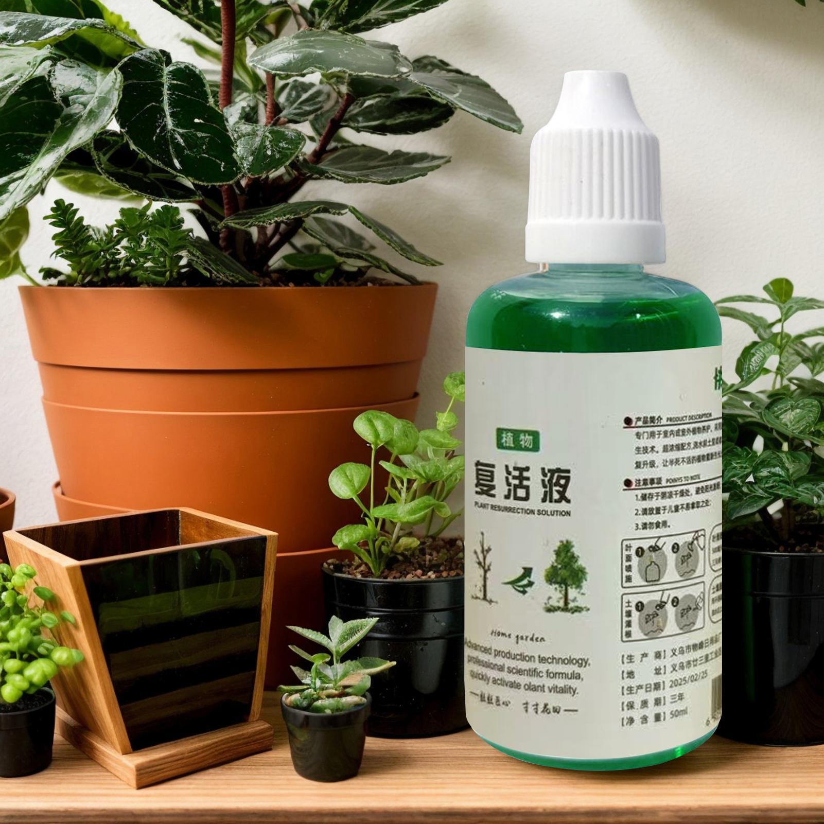 Root Stimulator for Plants Roo - Root Stimulator Liquid review and price