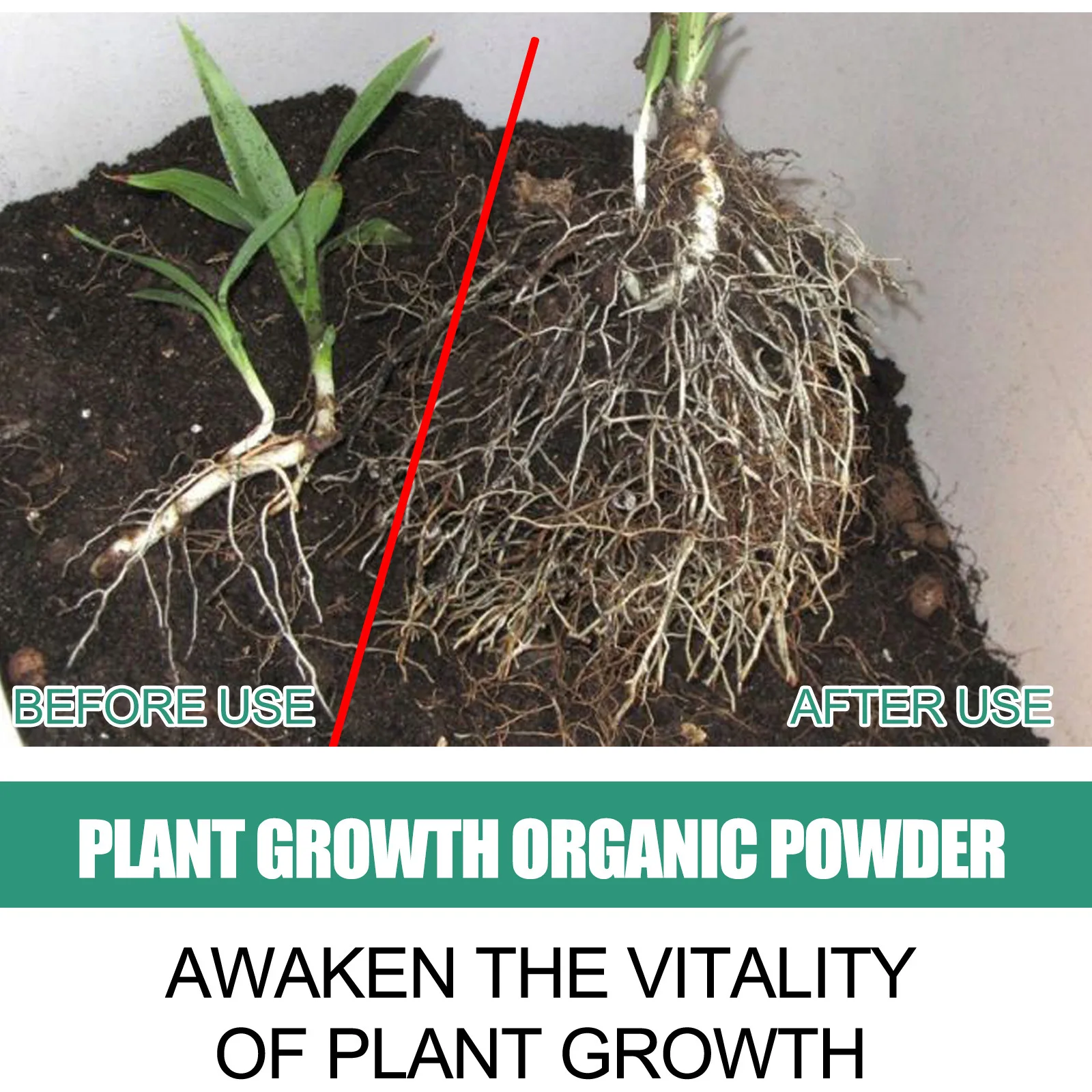 Fast Rooting Powder Plant Soil - Rooting Hormone Powder review and price