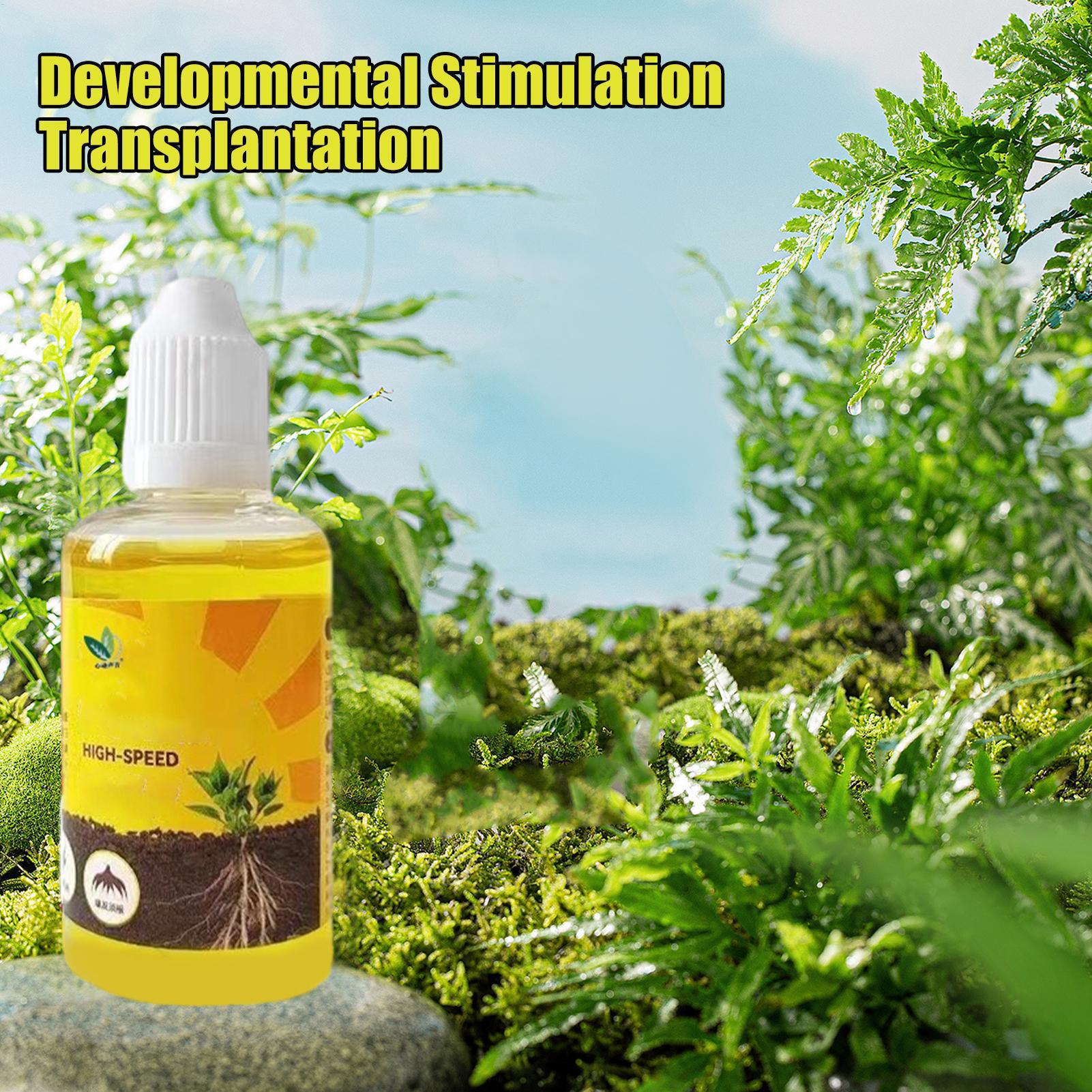 50ml Plant Rooting Stimulator  - Root Stimulator Liquid review and price