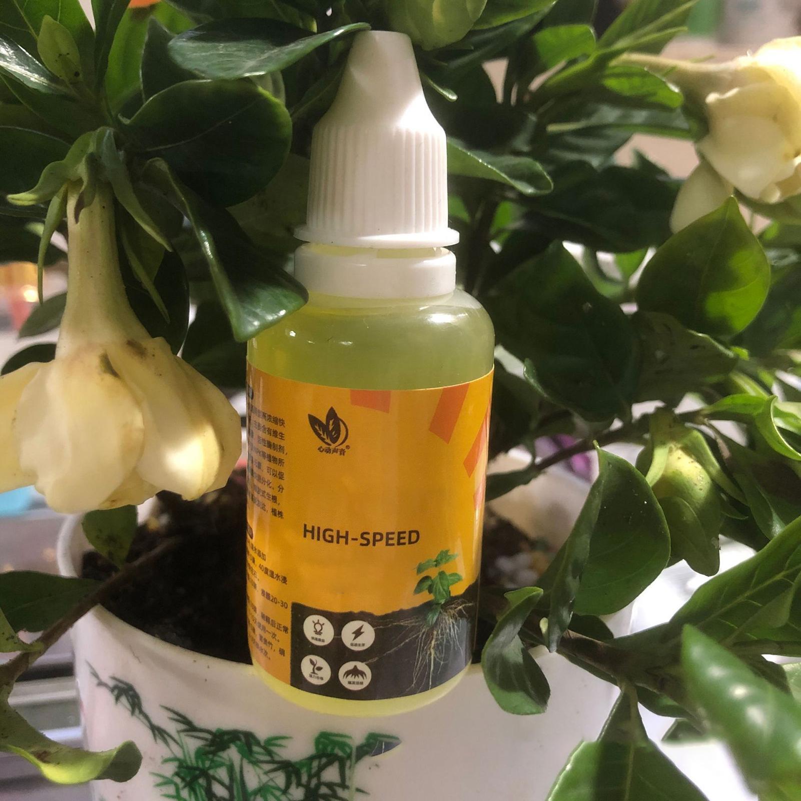 50ml Plant Rooting Stimulator  - Root Stimulator Liquid review and price
