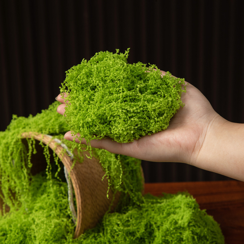200g Eternal Life Moss DIY Cra - Sphagnum Moss Dry review and price