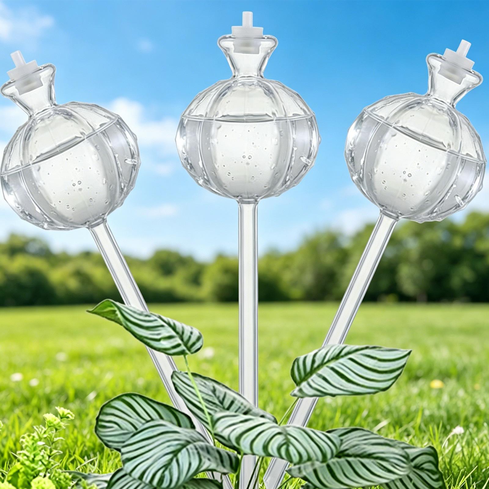 Self-Watering Globes 3 Pieces  - Self Watering Insert review and price