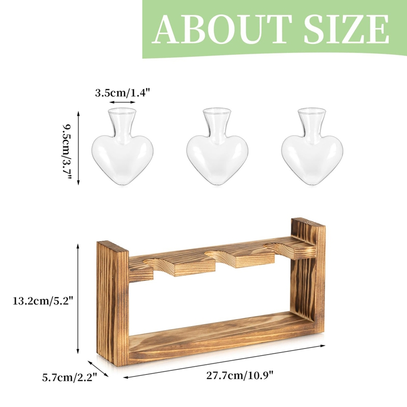 Glass Propagation Station for  - Propagation Station Vase review and price
