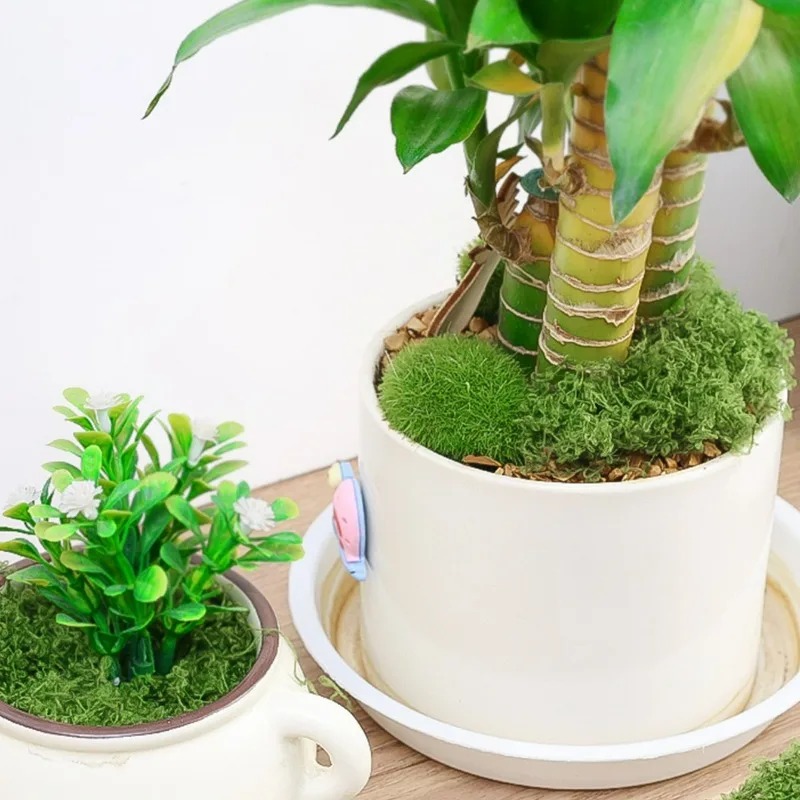 30/300G Artificial Realistic M - Sphagnum Moss Dry review and price