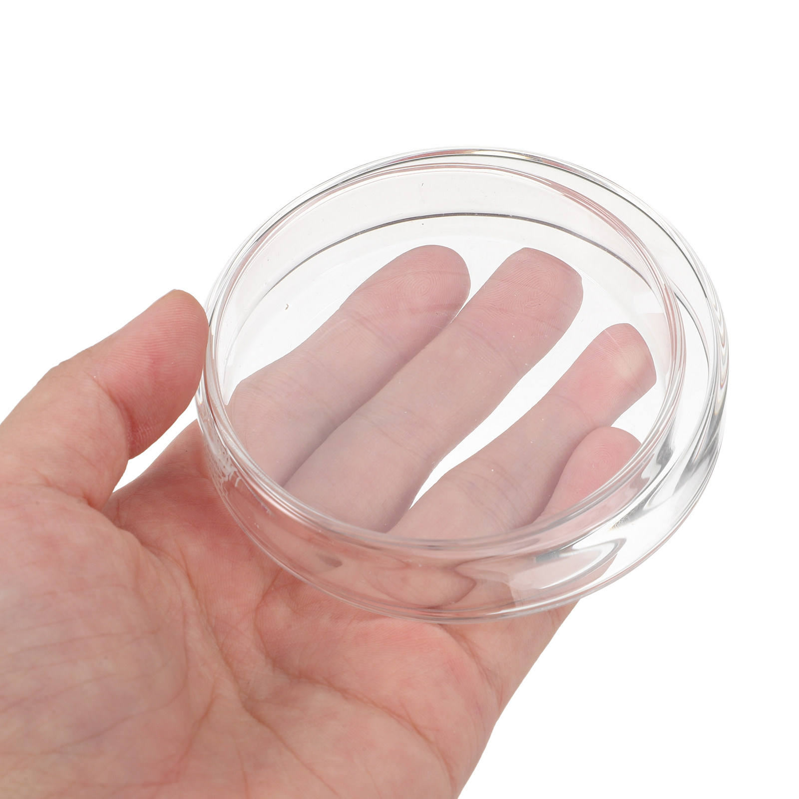 1Set Thickened Glass Petri Dis - Agar Tissue Culture review and price