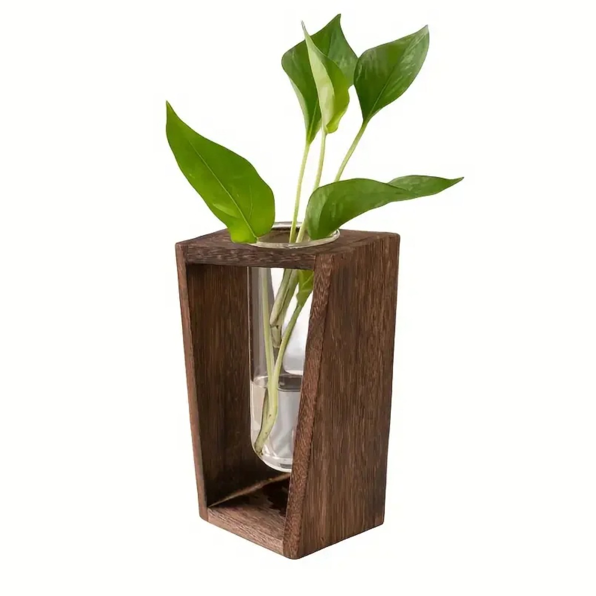 Plant Propagation Station Hydr - Propagation Station Vase review and price