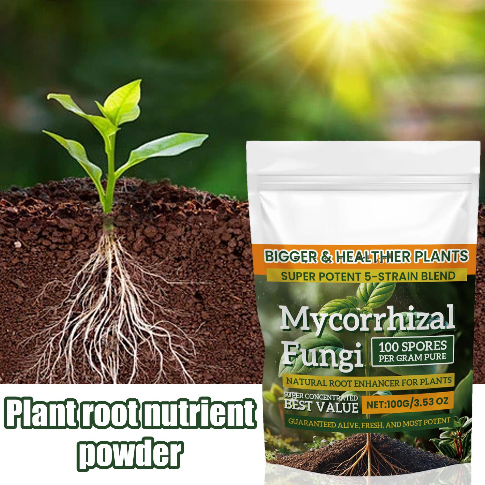 100g Plant Nutrient Powder Pla - Rooting Hormone Powder review and price