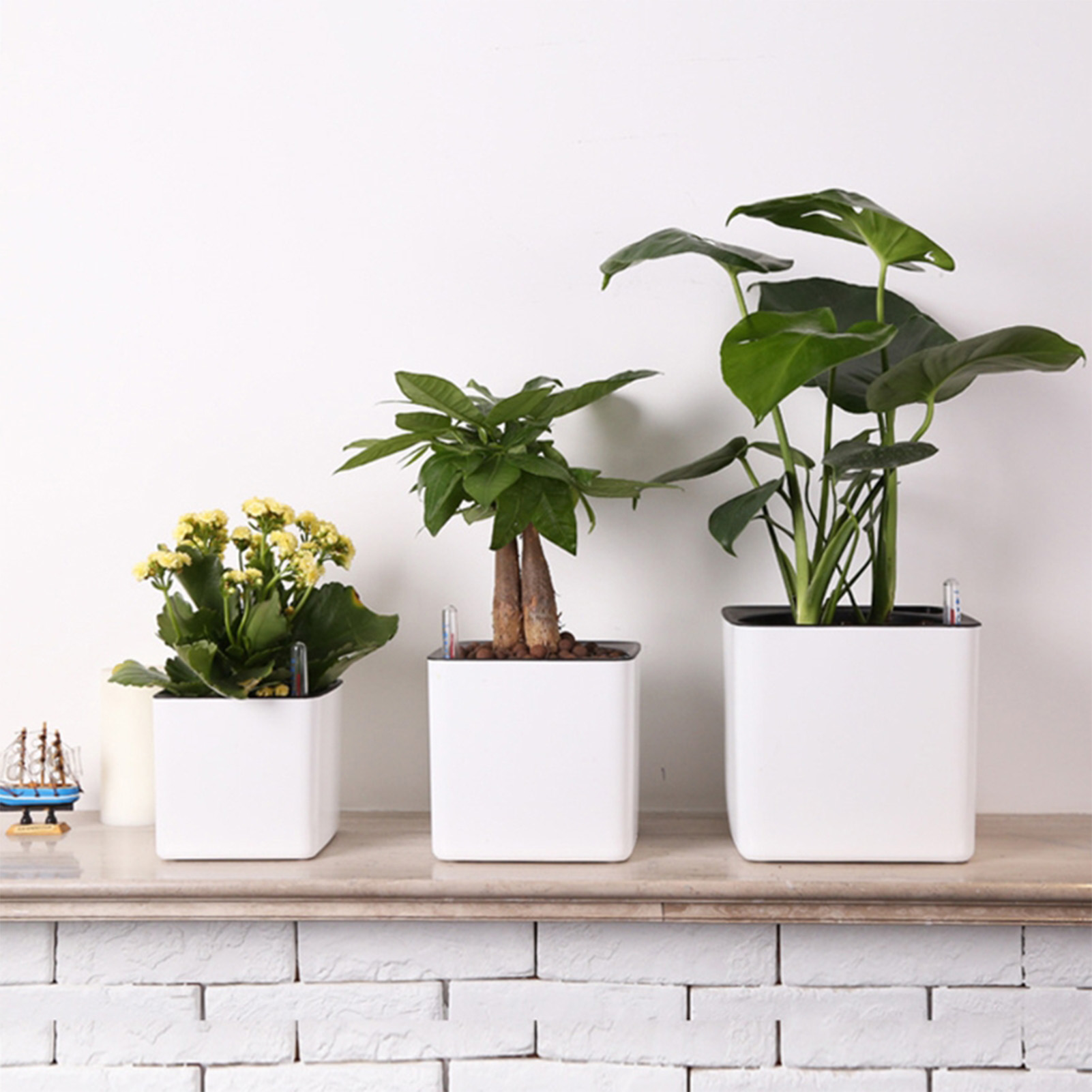 Self Watering Planter Self-wat - Self Watering Insert review and price