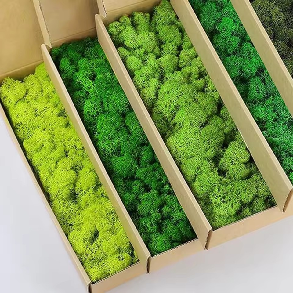 20-200g Artificial Green Plant - Sphagnum Moss Dry review and price
