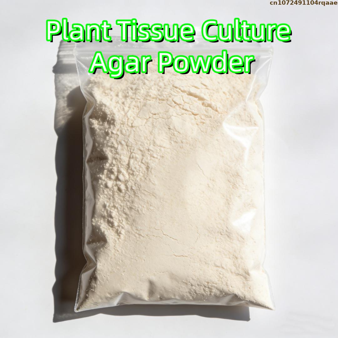 Premium Plant Tissue Culture A - Agar Tissue Culture review and price