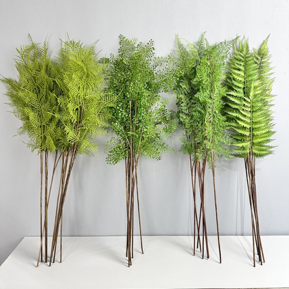 Realistic Artificial Fern Plan - Sphagnum Moss Dry review and price