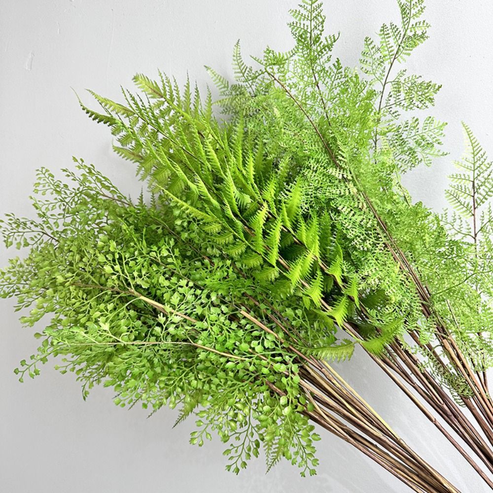 Realistic Artificial Fern Plan - Sphagnum Moss Dry review and price