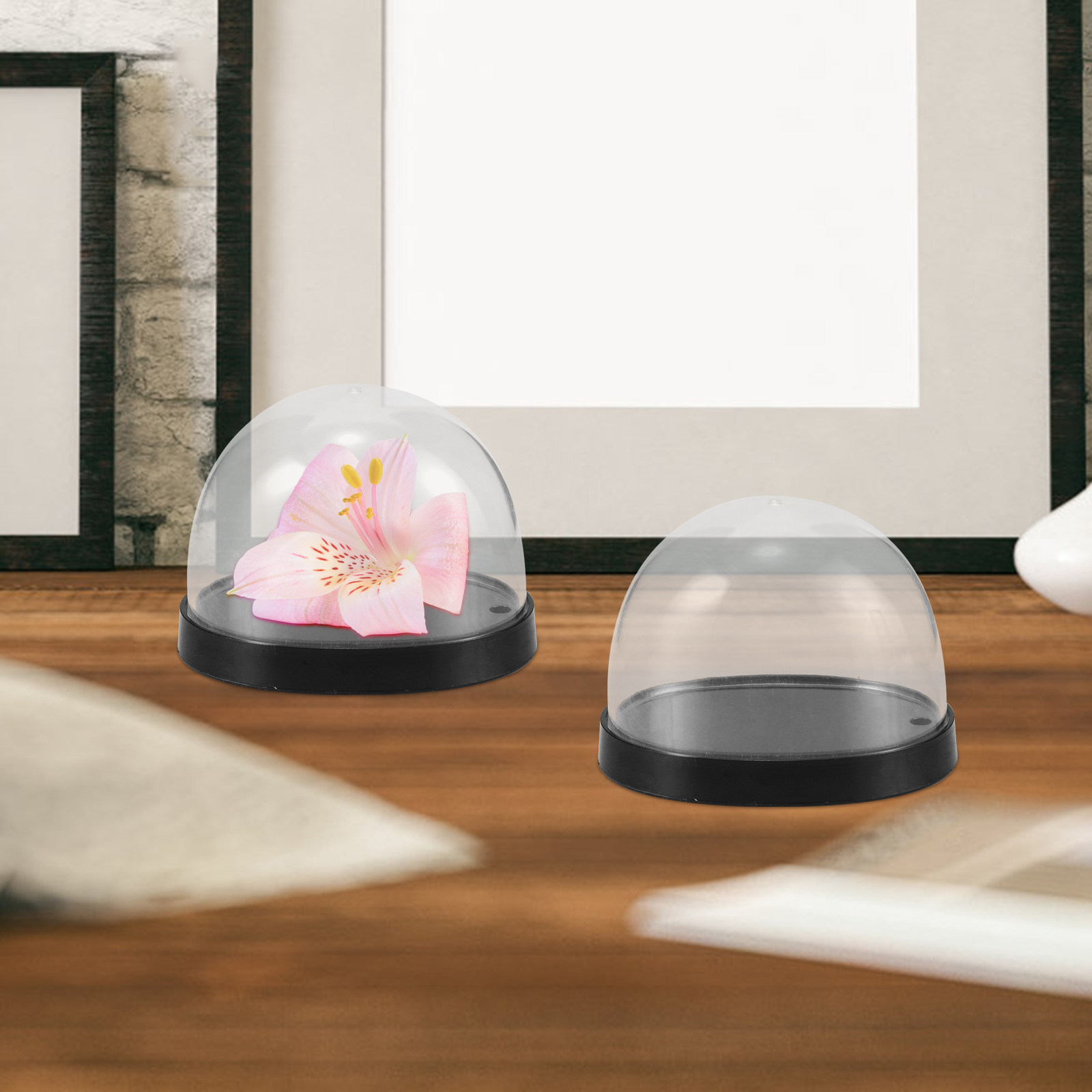 5Sets High-Transparency Plasti - Plastic Dome Clear review and price