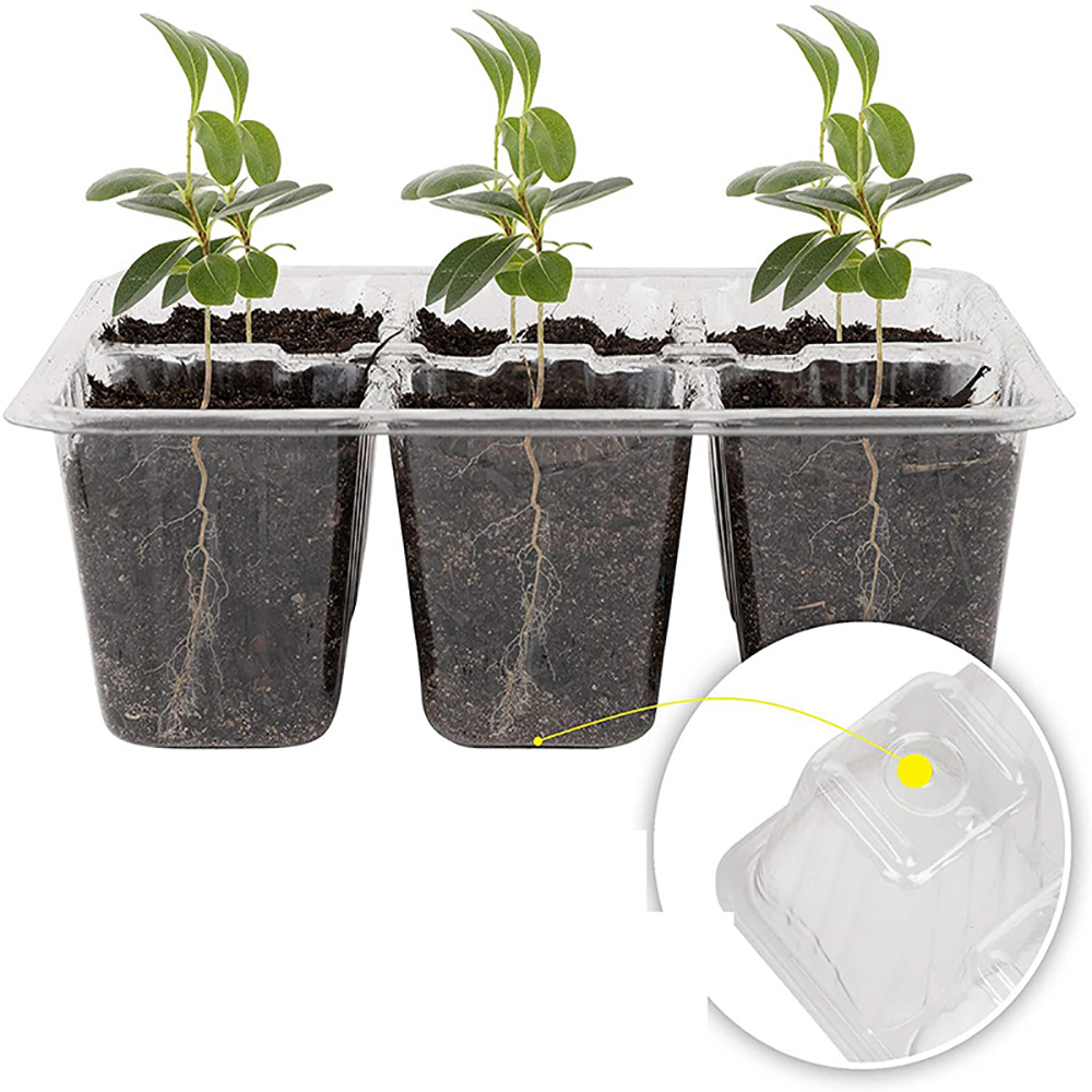 Seed Starter Trays with Grow L - Humidity Dome Kit review and price
