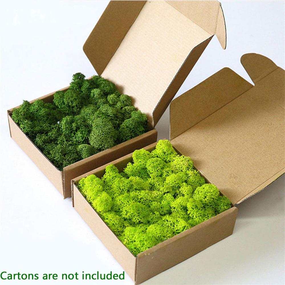 Artificial Plant Eternal Life  - Sphagnum Moss Dry review and price