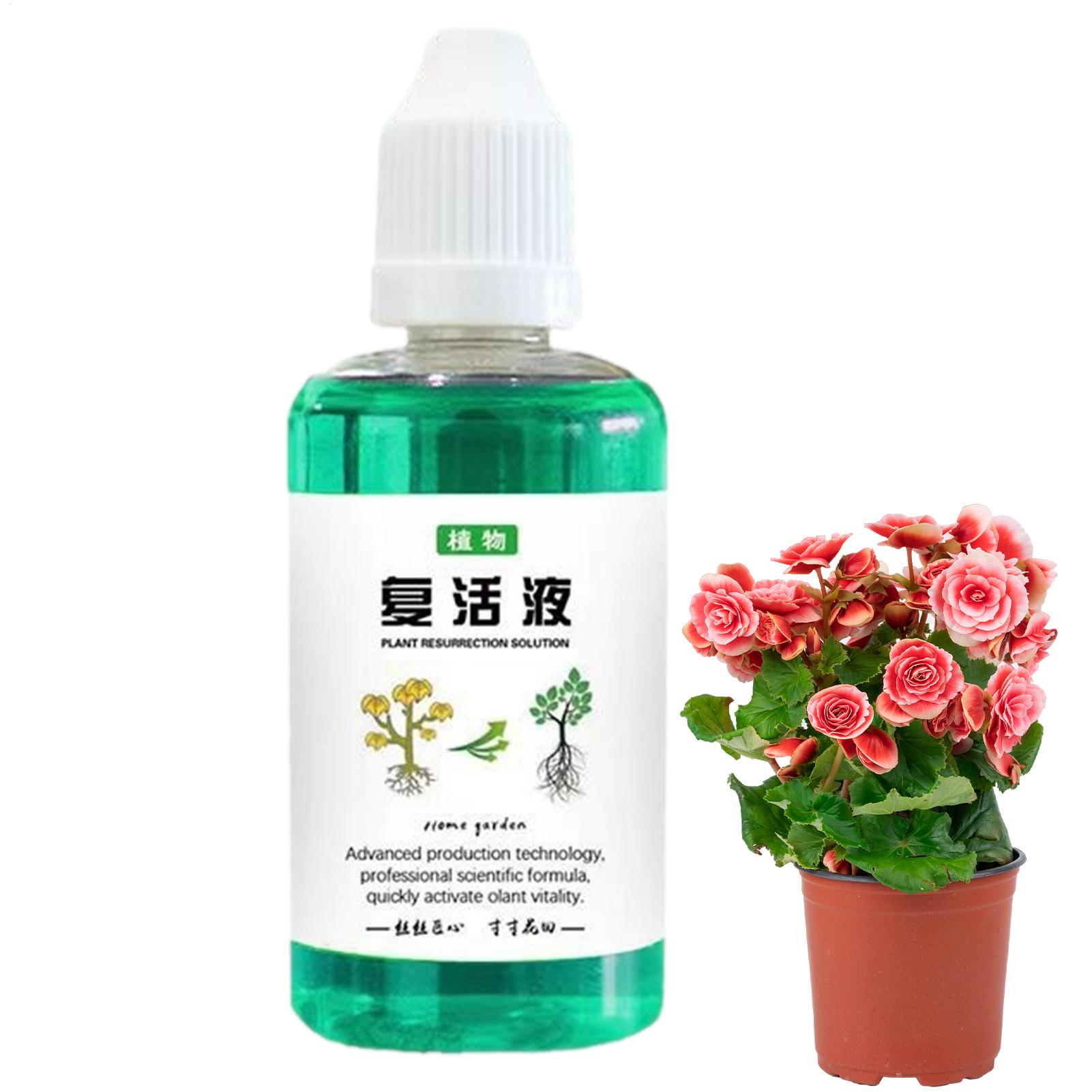 Root Stimulator For Plants 50m - Root Stimulator Liquid review and price