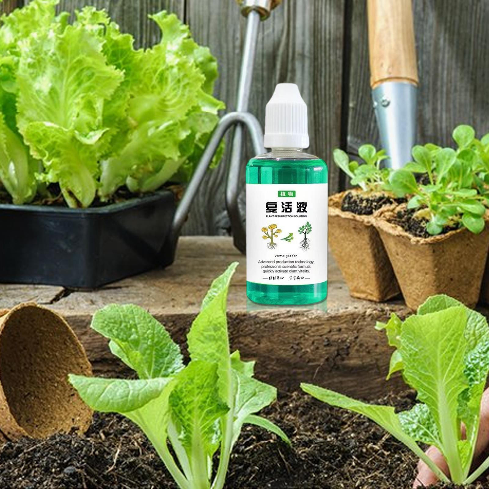 Root Stimulator For Plants 50m - Root Stimulator Liquid review and price