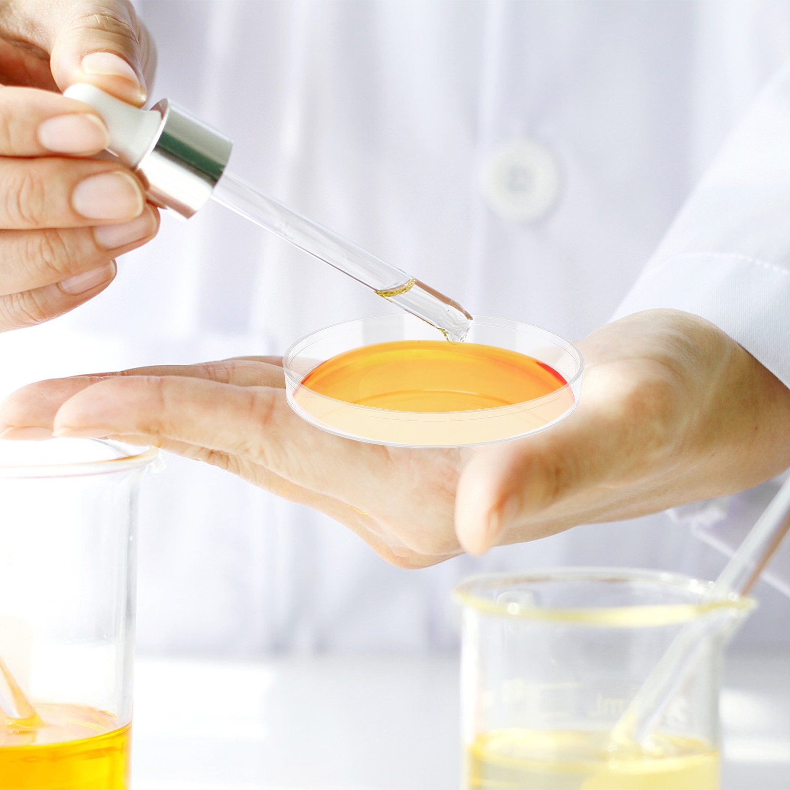30Pcs Petri Dish Clear Plastic - Agar Tissue Culture review and price