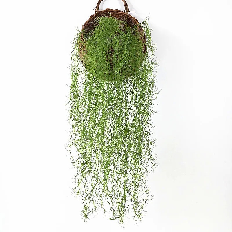 1/3/5pcs Air Grass Green Plant - Sphagnum Moss Dry review and price