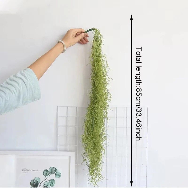 1/3/5pcs Air Grass Green Plant - Sphagnum Moss Dry review and price