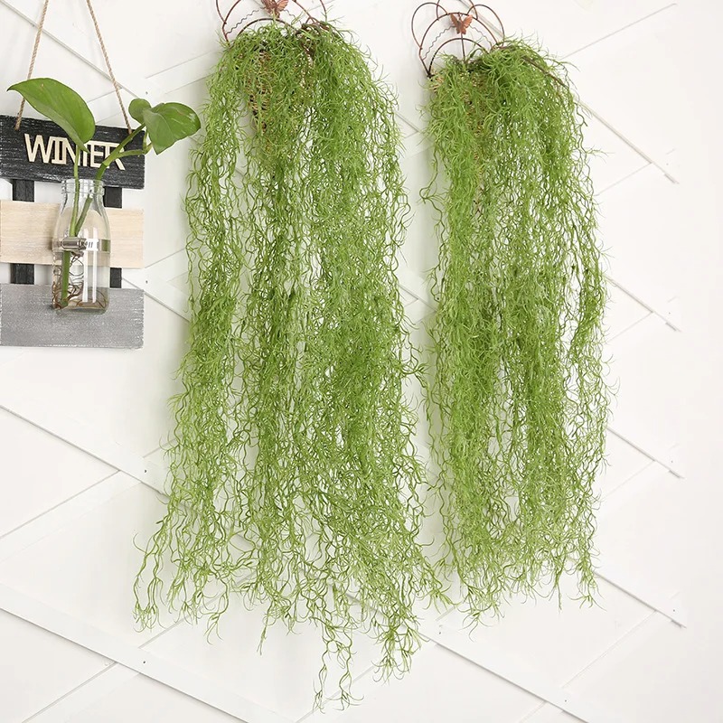 1/3/5pcs Air Grass Green Plant - Sphagnum Moss Dry review and price