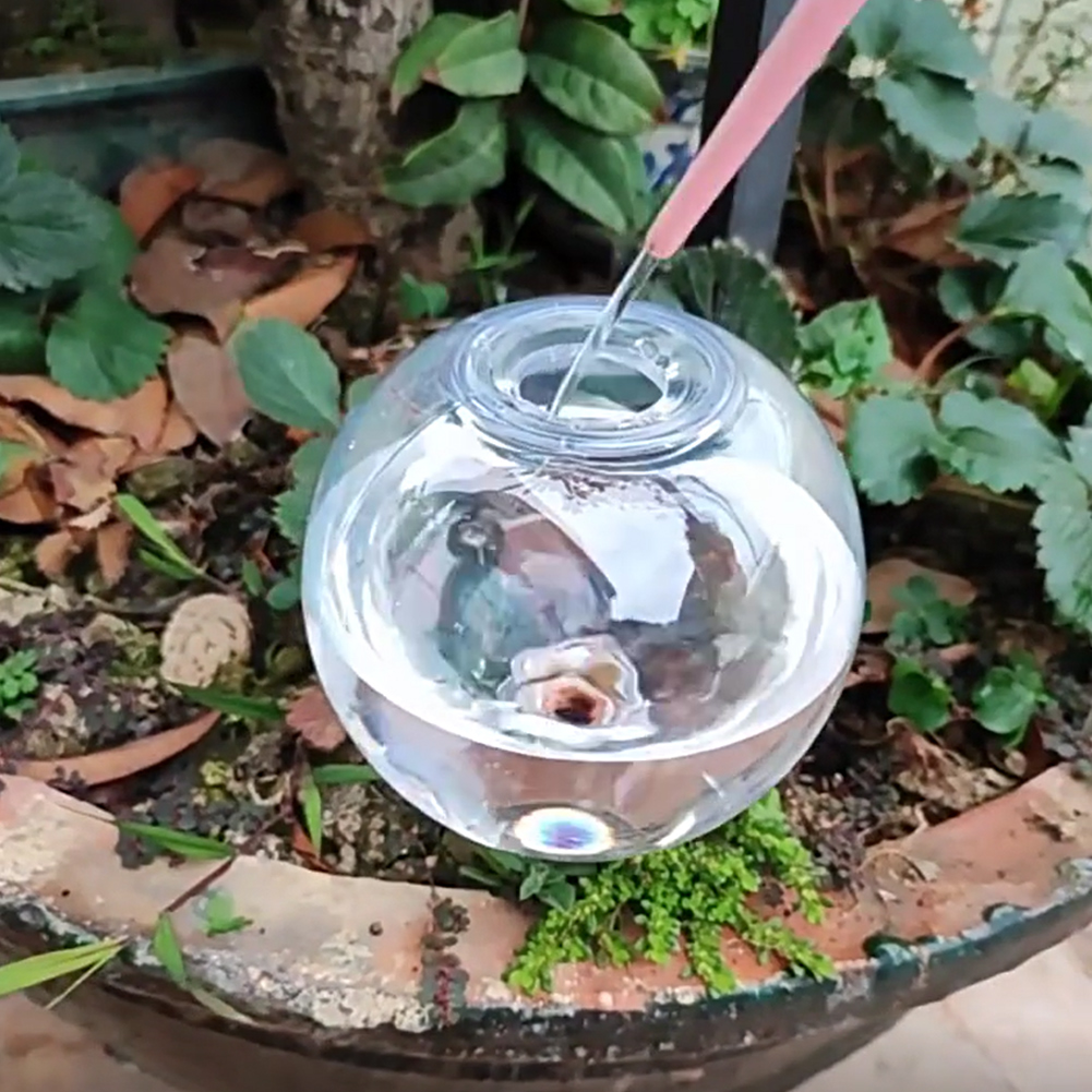 500ML Self Watering Globes Dri - Self Watering Insert review and price