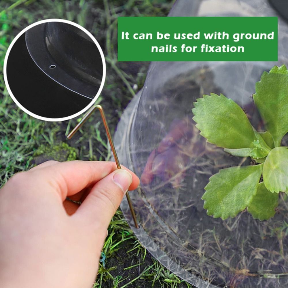 Reusable Clear Plastic Seedlin - Plastic Dome Clear review and price