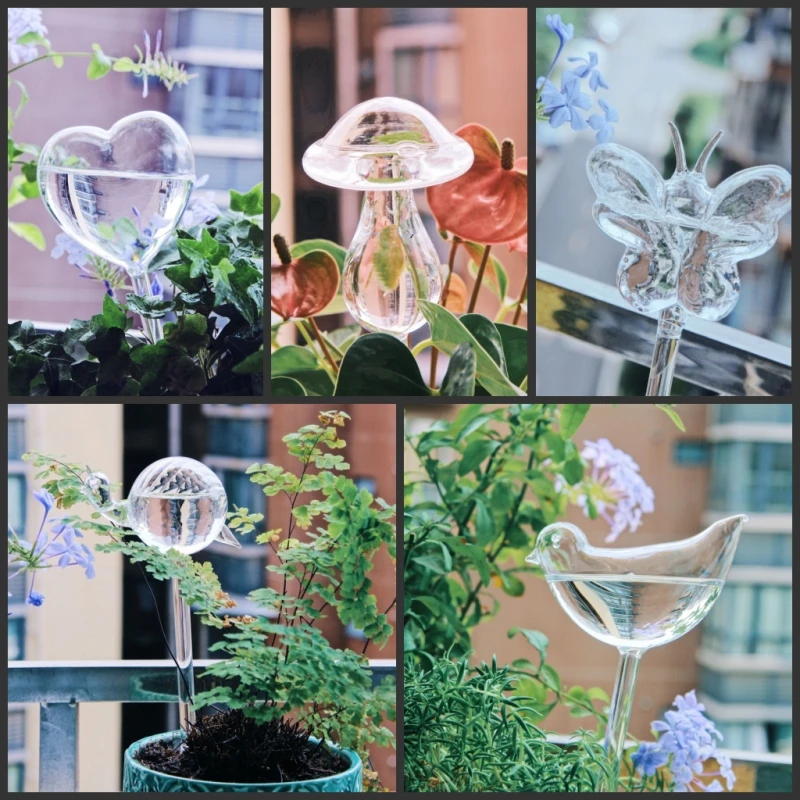 Creative Glass Plant Flowers W - Self Watering Insert review and price
