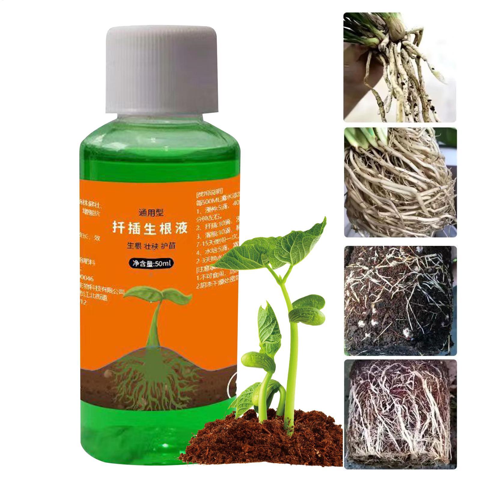 High-Efficiency Root Stimulato - Root Stimulator Liquid review and price