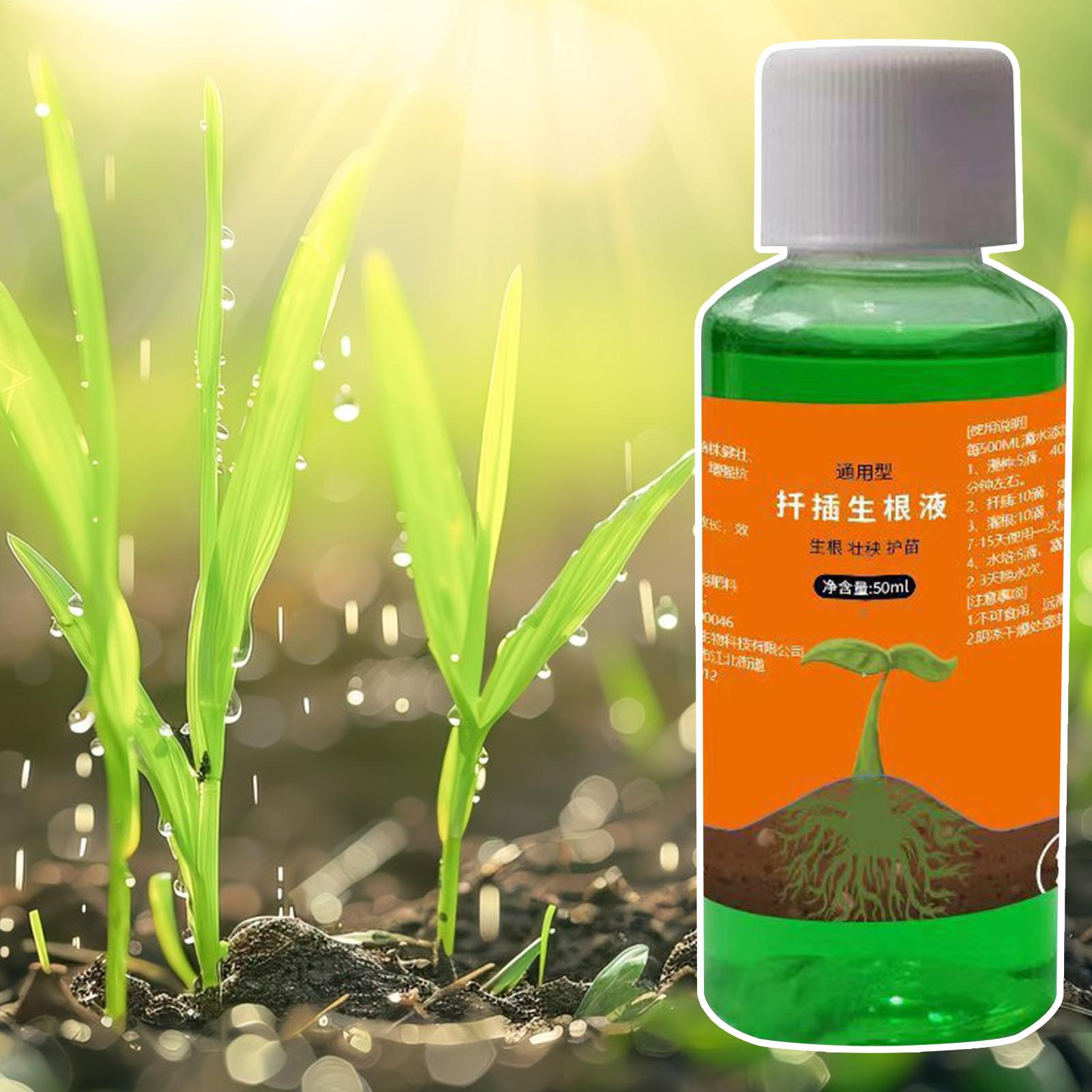 High-Efficiency Root Stimulato - Root Stimulator Liquid review and price