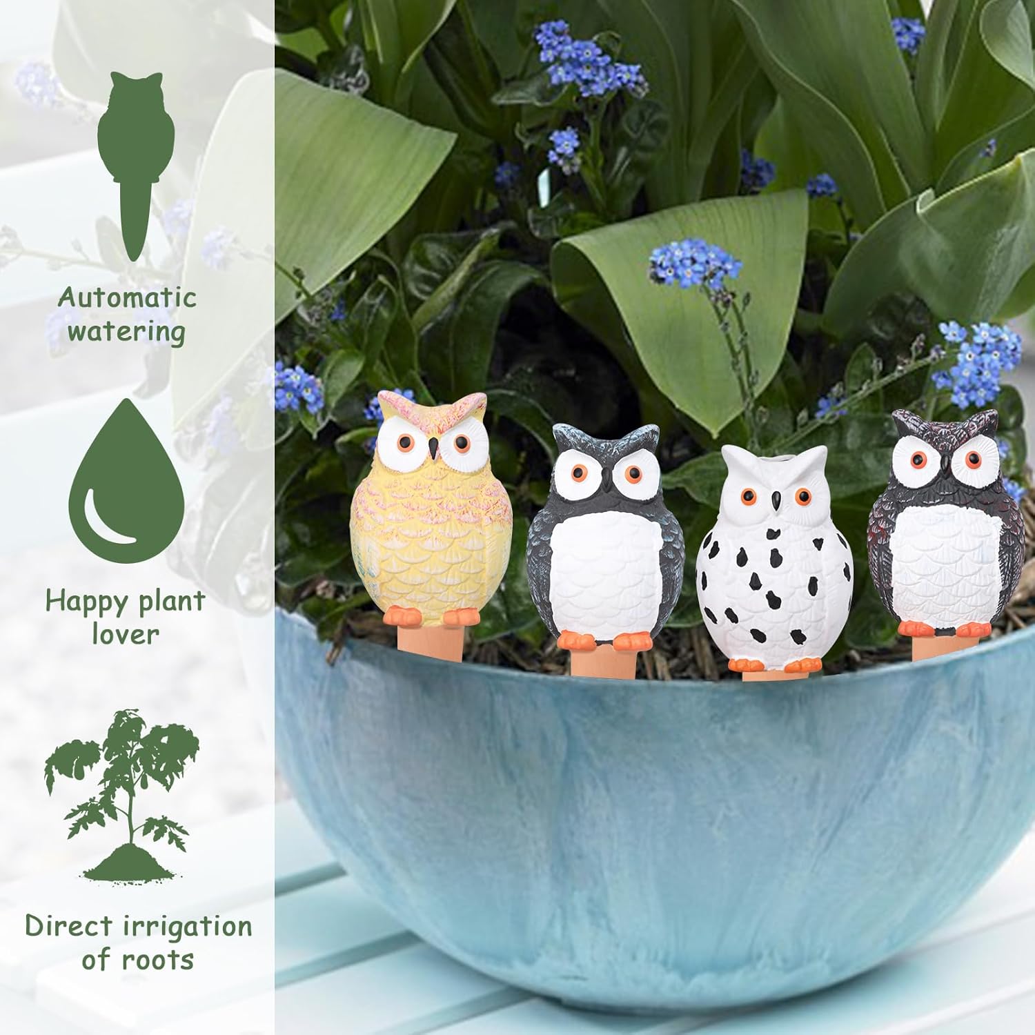 Self Plant Watering Globes Ter - Self Watering Insert review and price