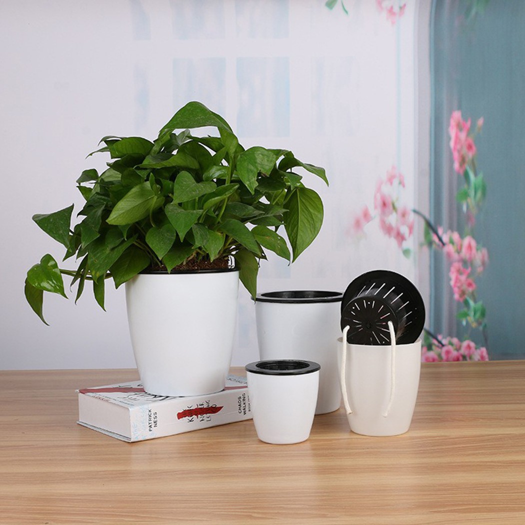 Automatic Watering Flower Plan - Self Watering Insert review and price