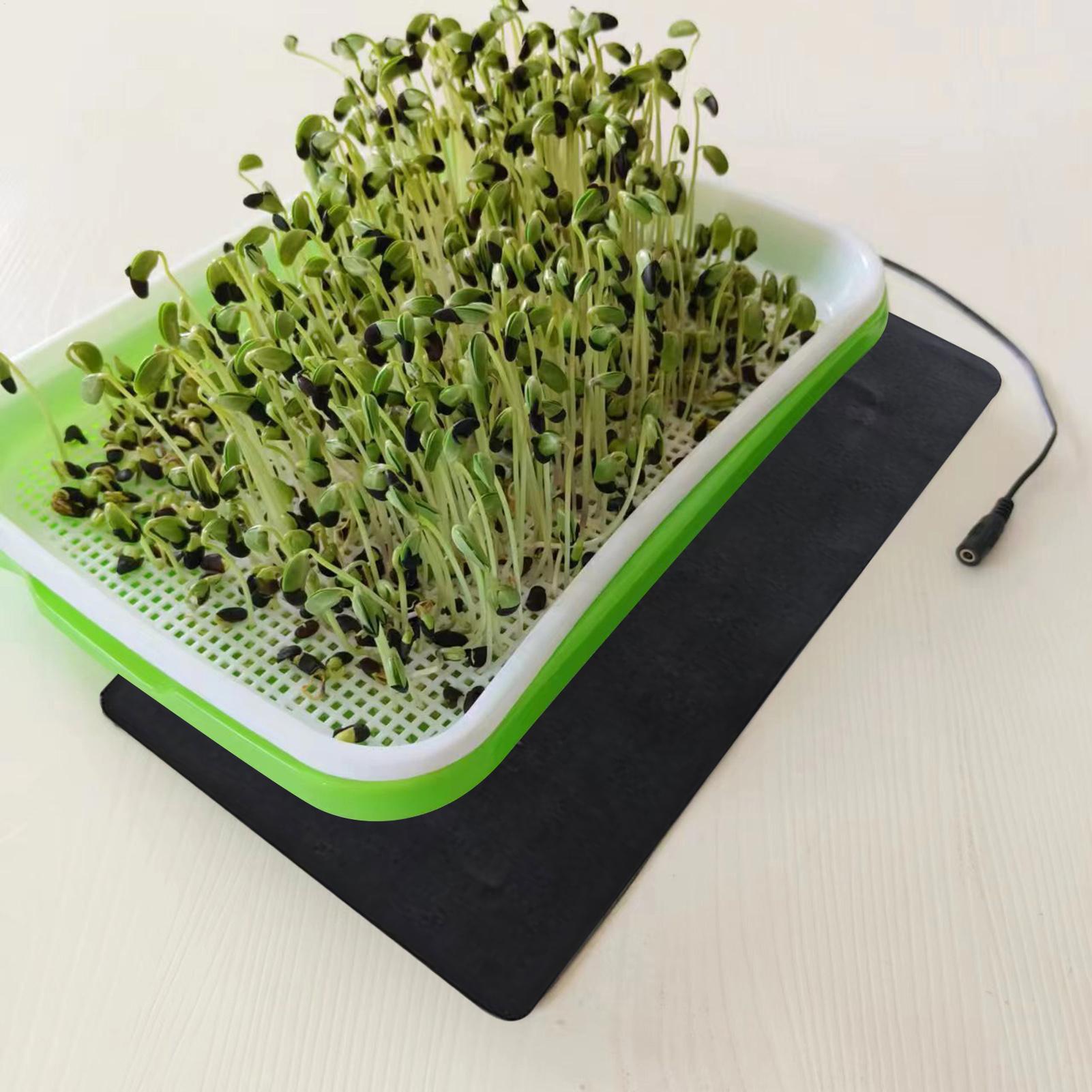 8.5W Seedling Heat Mat 5V 2A P - Heat Mat Seedling review and price