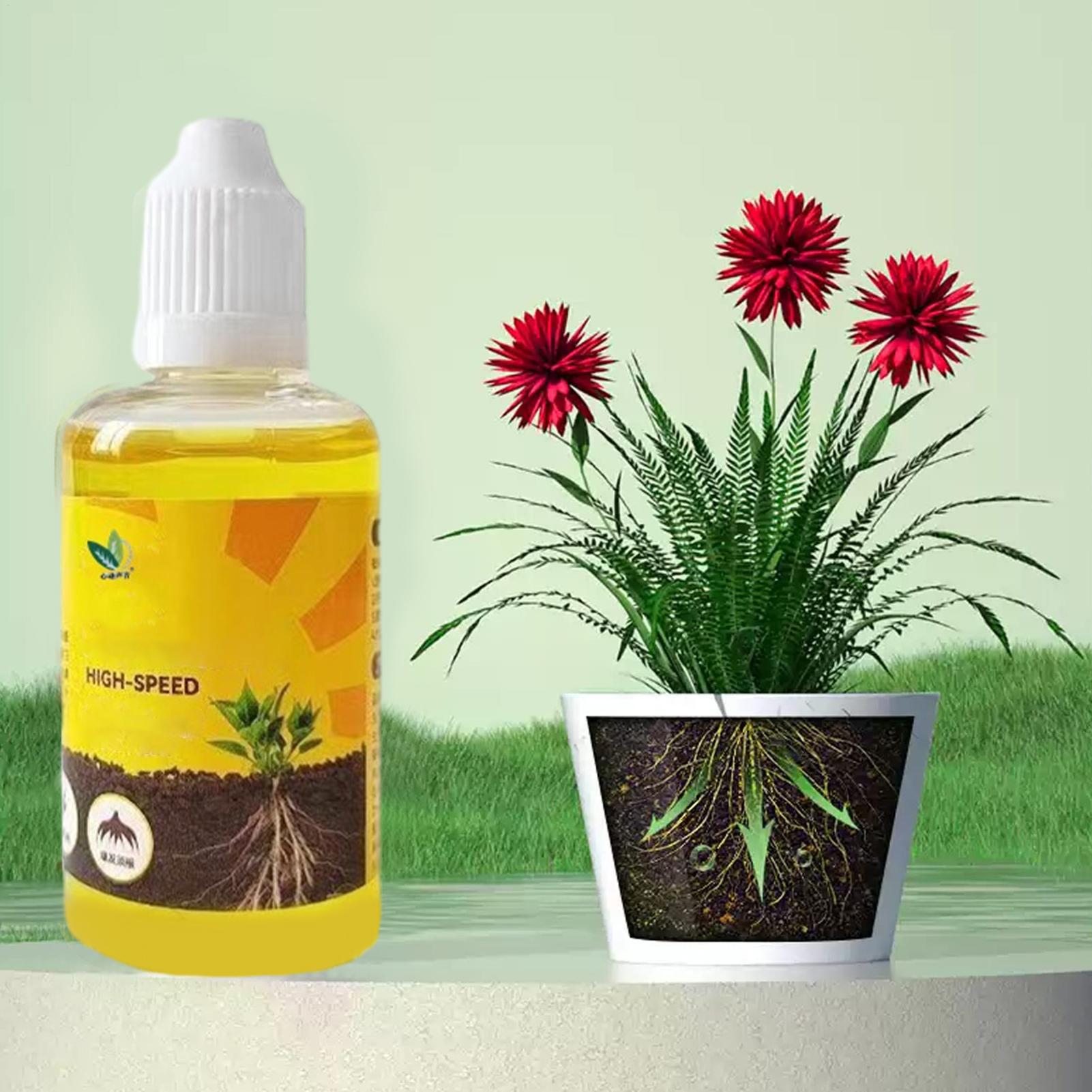 Plant Rapid Rooting Solution 5 - Root Stimulator Liquid review and price