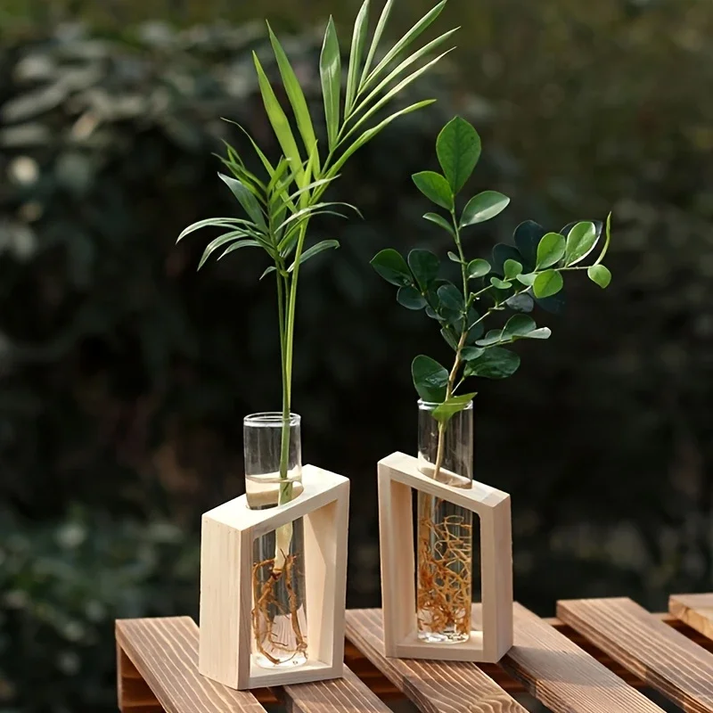 Test Tube Glass Vase Plant Pro - Propagation Station Vase review and price