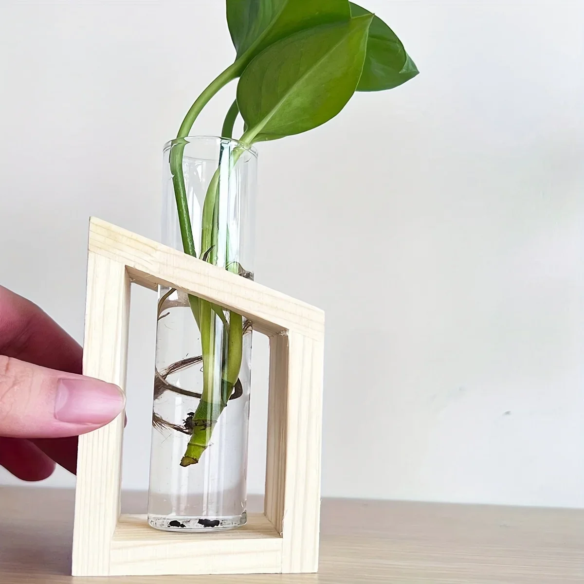 Test Tube Glass Vase Plant Pro - Propagation Station Vase review and price