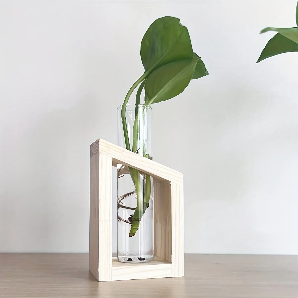 Test Tube Glass Vase Plant Pro - Propagation Station Vase review and price