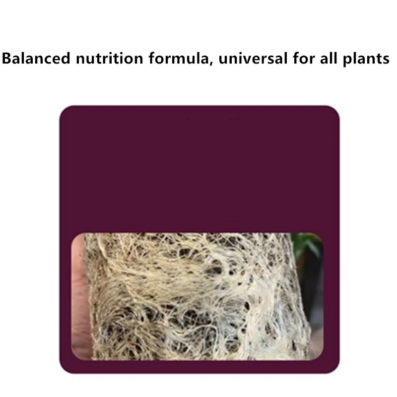 2bags Rooting Hormone Powder U - Rooting Hormone Powder review and price