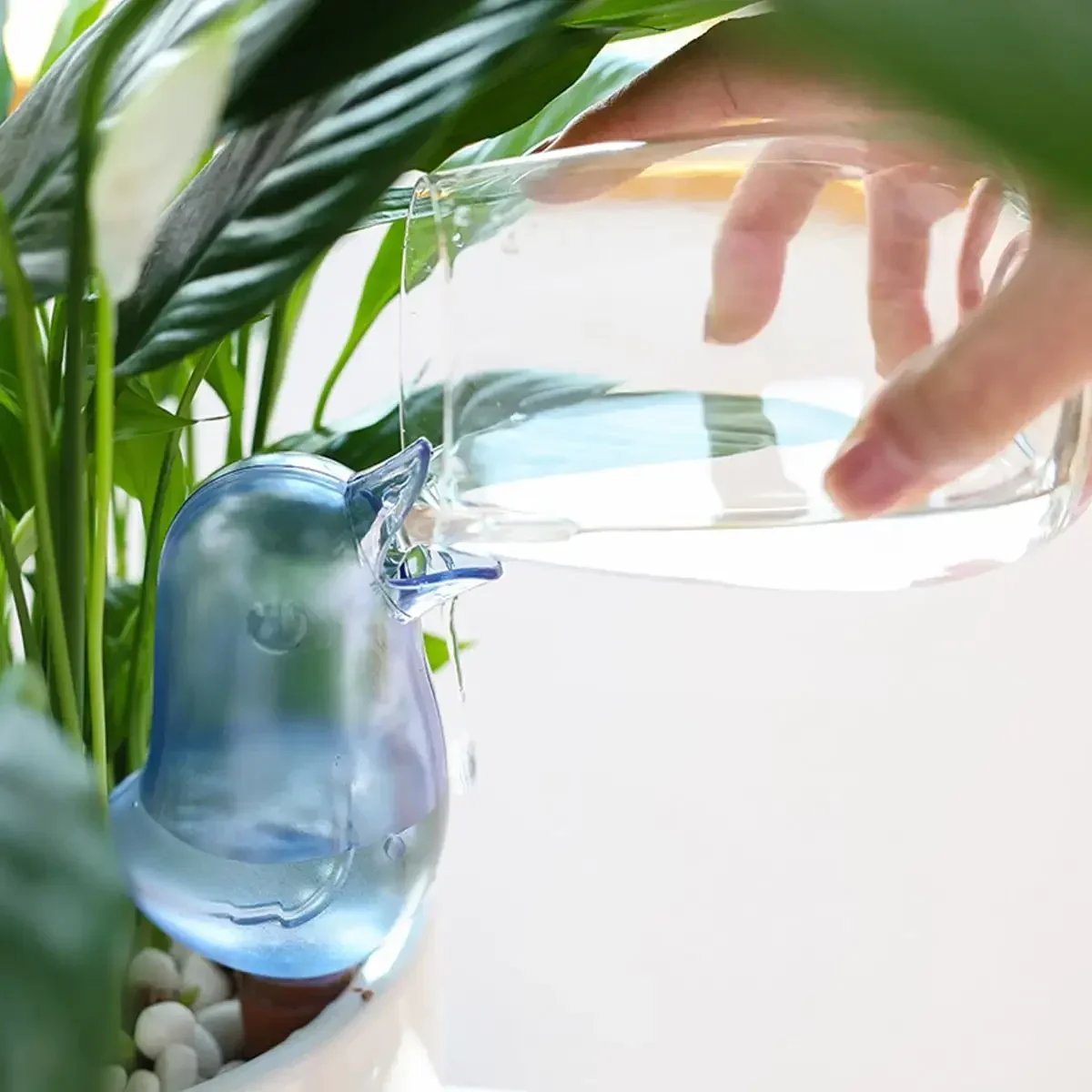 High quality automatic flower  - Self Watering Insert review and price