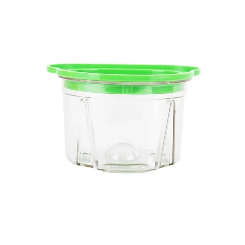 4Pcs Dental Plastic Agar Box D - Agar Tissue Culture review and price